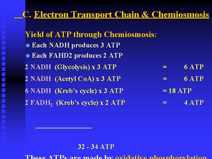 C. Electron Transport Chain & Chemiosmosis Yield of ATP through Chemiosmosis: u Each NADH