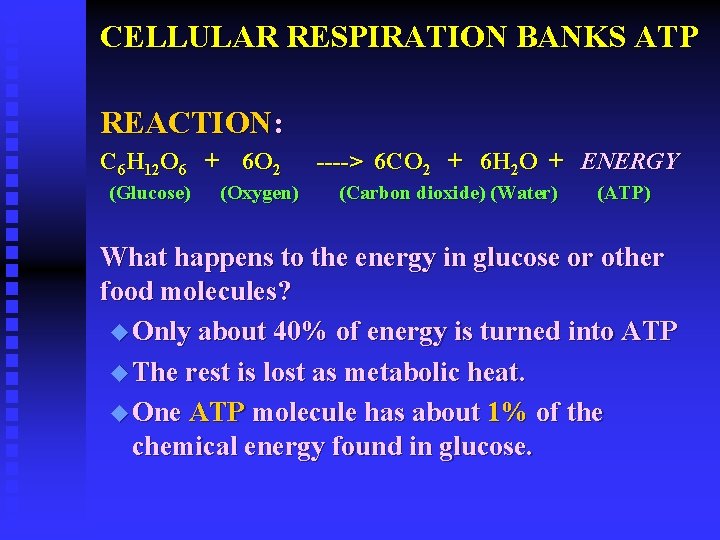 CELLULAR RESPIRATION BANKS ATP REACTION: C 6 H 12 O 6 + 6 O