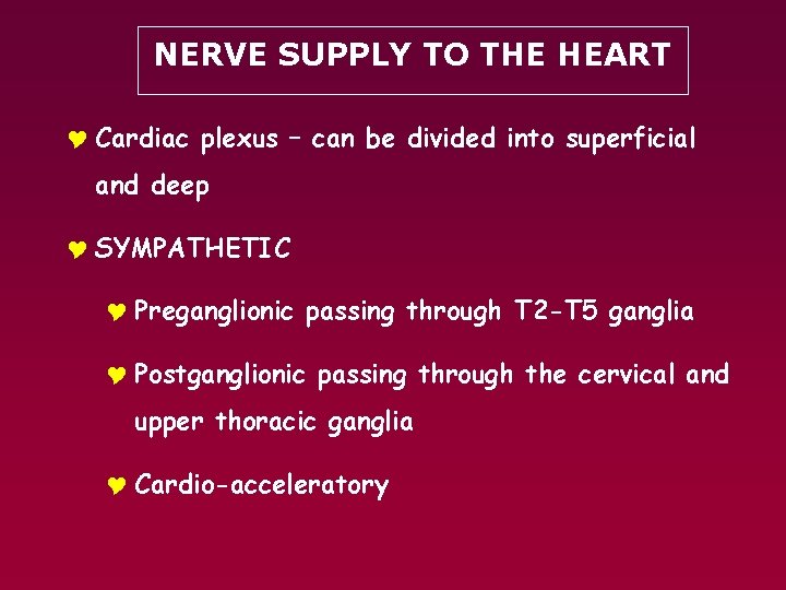 NERVE SUPPLY TO THE HEART Y Cardiac plexus – can be divided into superficial