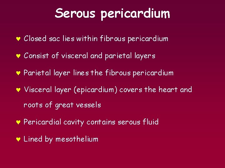 Serous pericardium © Closed sac lies within fibrous pericardium © Consist of visceral and