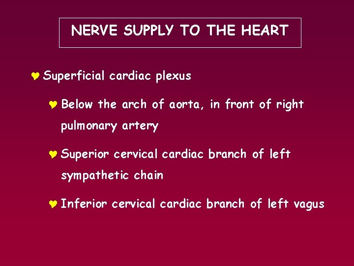 NERVE SUPPLY TO THE HEART Y Superficial cardiac plexus Y Below the arch of