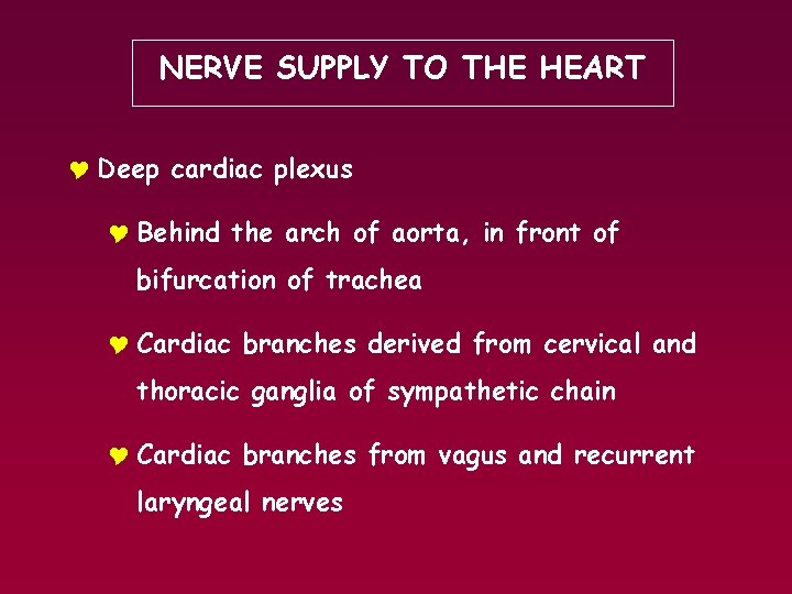 NERVE SUPPLY TO THE HEART Y Deep cardiac plexus Y Behind the arch of