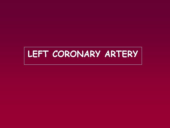 LEFT CORONARY ARTERY 