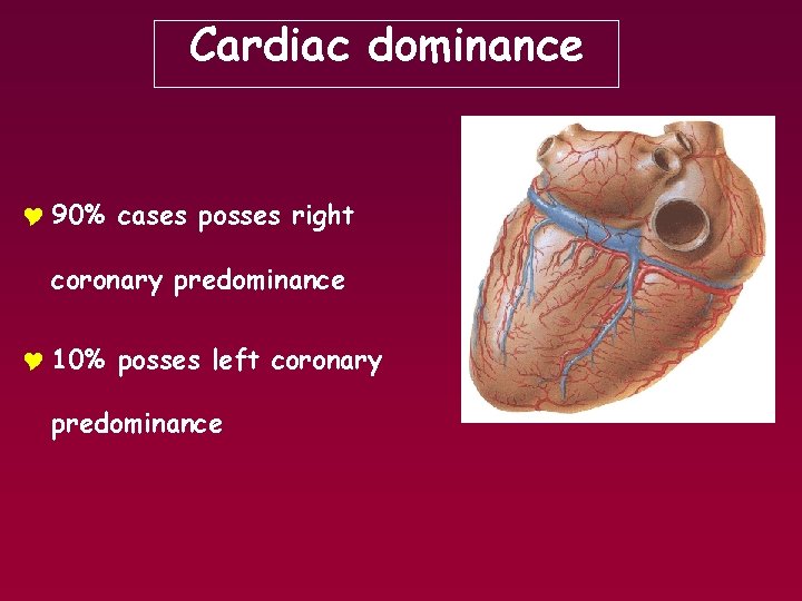 Cardiac dominance Y 90% cases posses right coronary predominance Y 10% posses left coronary