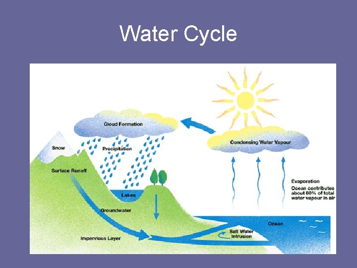 Water Cycle 