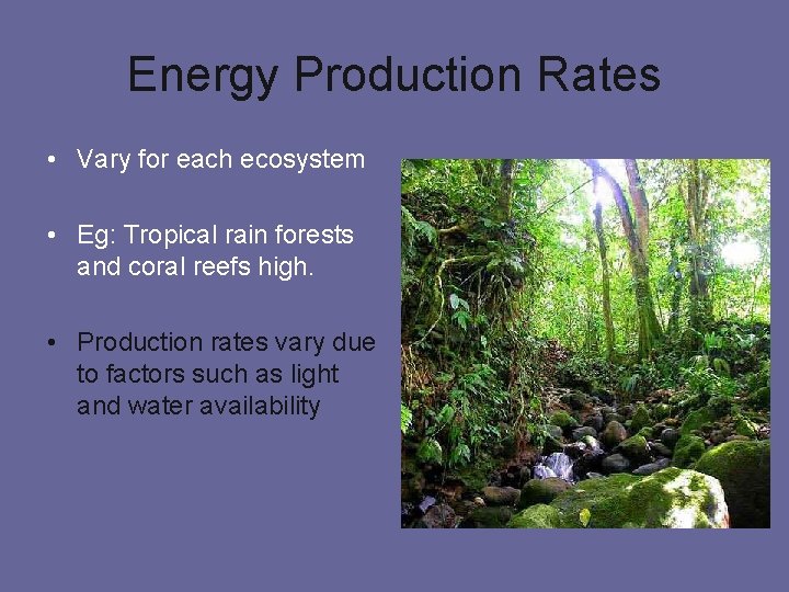Energy Production Rates • Vary for each ecosystem • Eg: Tropical rain forests and