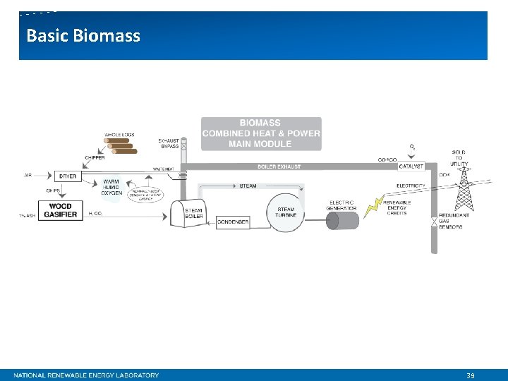 Basic Biomass 39 