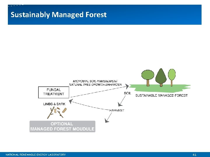 Sustainably Managed Forest 41 