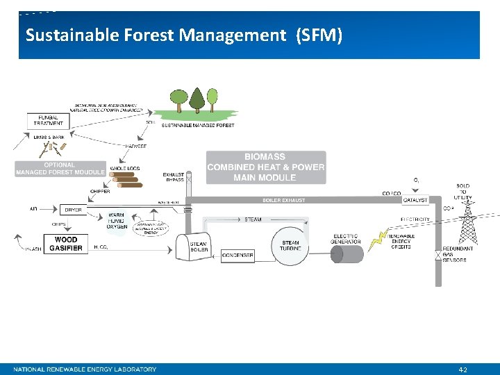 Sustainable Forest Management (SFM) 42 