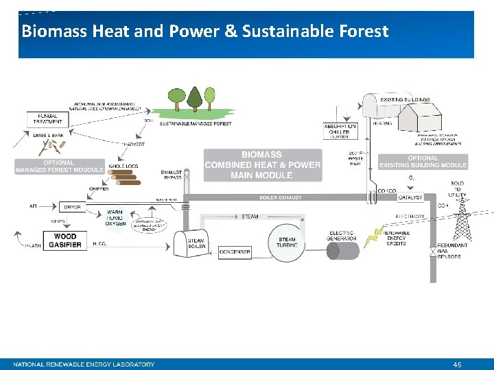 Biomass Heat and Power & Sustainable Forest 45 