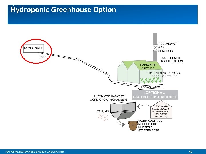 Hydroponic Greenhouse Option 47 