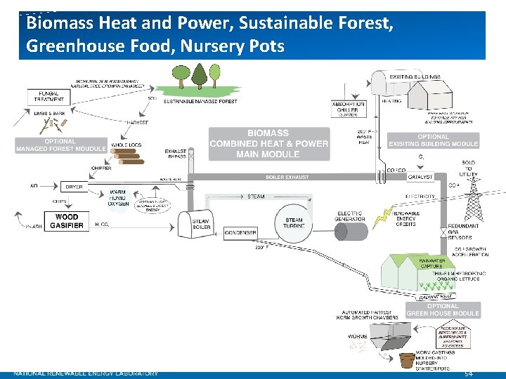Biomass Heat and Power, Sustainable Forest, Greenhouse Food, Nursery Pots 54 