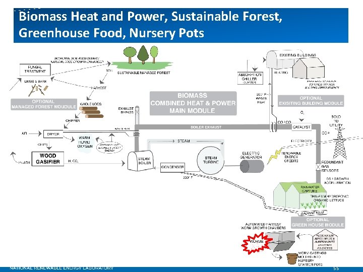Biomass Heat and Power, Sustainable Forest, Greenhouse Food, Nursery Pots 55 
