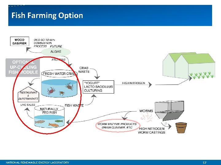 Fish Farming Option 57 