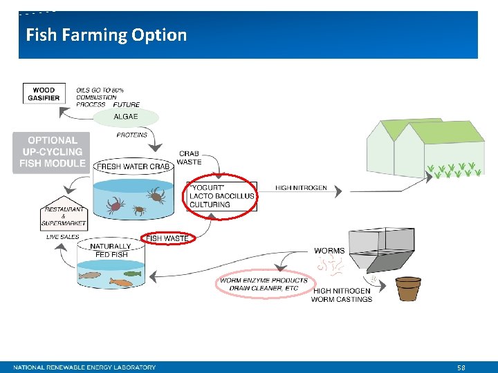 Fish Farming Option 58 
