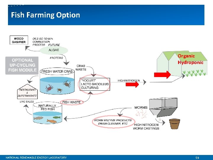 Fish Farming Option Organic Hydroponic 59 