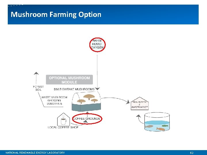 Mushroom Farming Option 62 