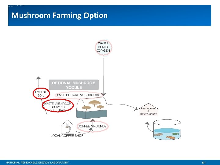 Mushroom Farming Option 64 