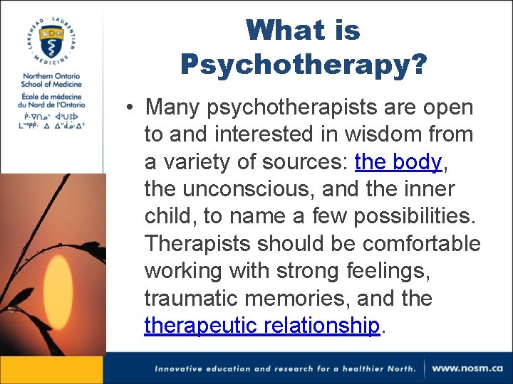 What is Psychotherapy? • Many psychotherapists are open to and interested in wisdom from