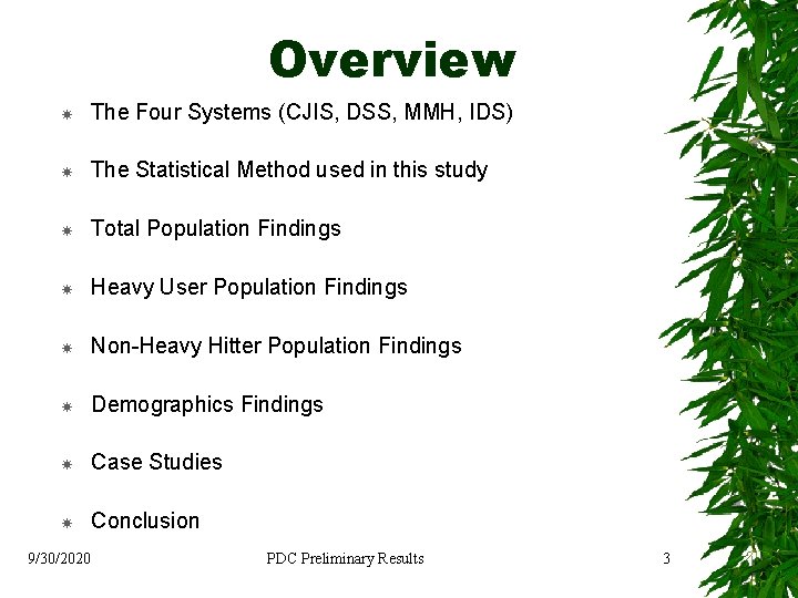 Overview The Four Systems (CJIS, DSS, MMH, IDS) The Statistical Method used in this