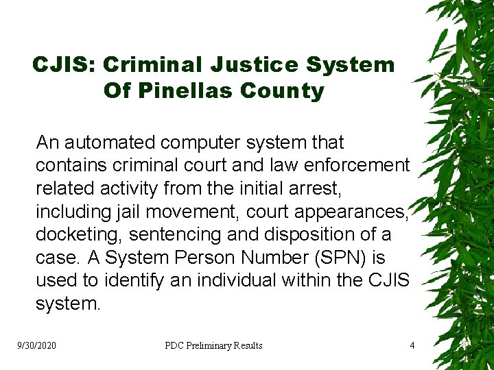 CJIS: Criminal Justice System Of Pinellas County An automated computer system that contains criminal