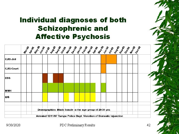 Individual diagnoses of both Schizophrenic and Affective Psychosis 9/30/2020 PDC Preliminary Results 42 