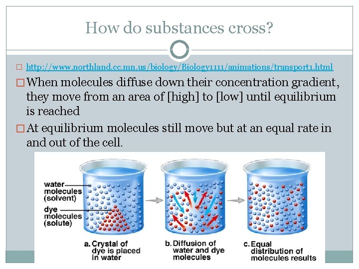 How do substances cross? � http: //www. northland. cc. mn. us/biology/Biology 1111/animations/transport 1. html