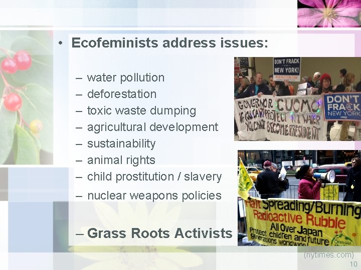  • Ecofeminists address issues: – – – – water pollution deforestation toxic waste
