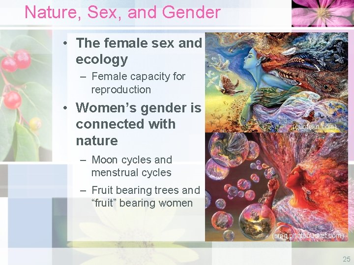 Nature, Sex, and Gender • The female sex and ecology – Female capacity for