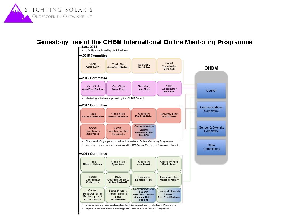 Genealogy tree of the OHBM International Online Mentoring Programme 