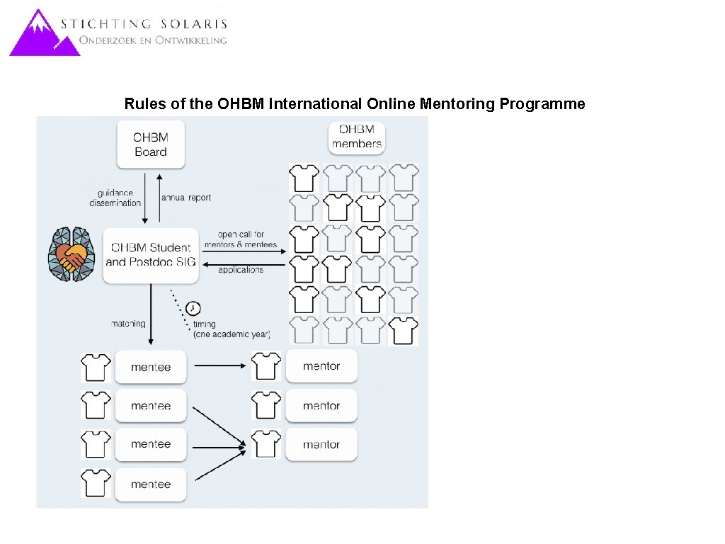 Rules of the OHBM International Online Mentoring Programme 