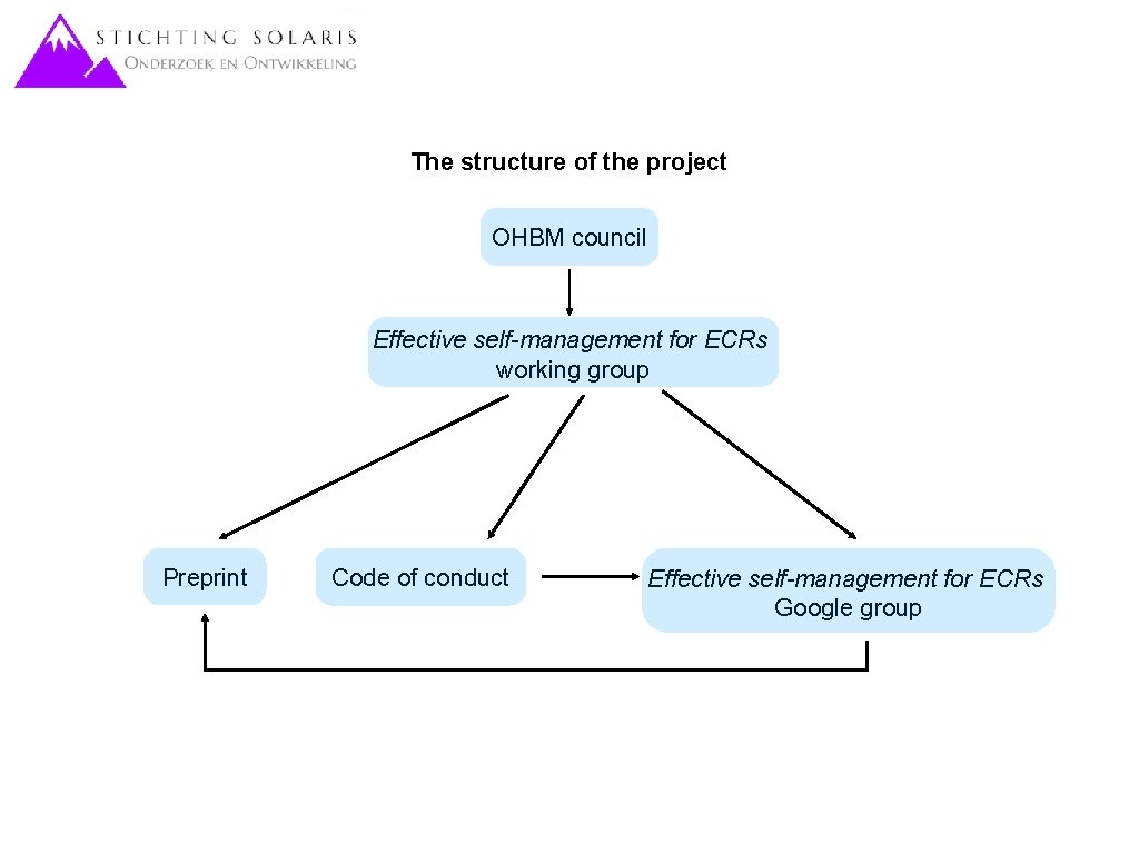 The structure of the project OHBM council Effective self-management for ECRs working group Preprint