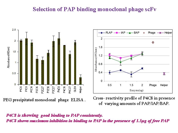 Selection of PAP binding monoclonal phage sc. Fv PEG precipitated monoclonal phage ELISA. Cross-