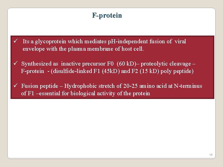 F-protein ü Its a glycoprotein which mediates p. H-independent fusion of viral envelope with