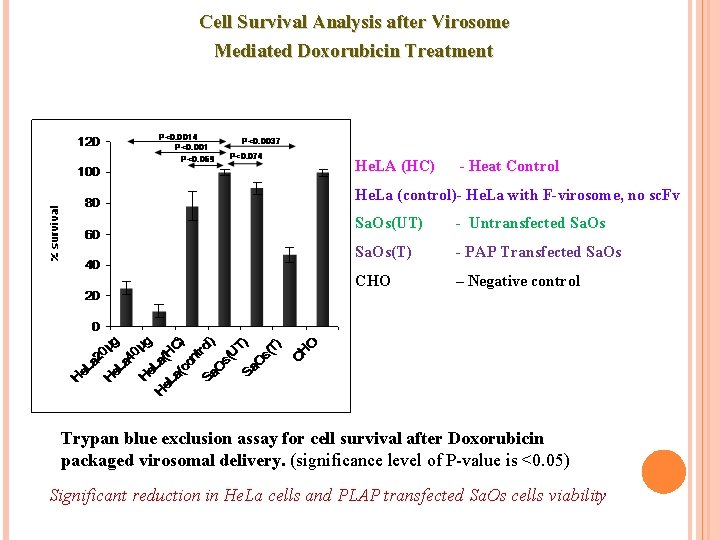 Cell Survival Analysis after Virosome Mediated Doxorubicin Treatment He. LA (HC) - Heat Control