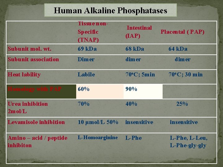 Human Alkaline Phosphatases Subunit mol. wt. Tissue non. Specific (TNAP) 69 k. Da Subunit