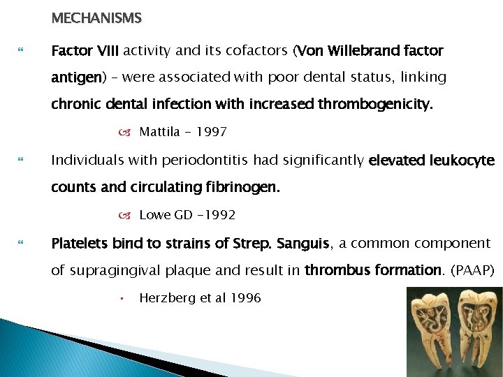 MECHANISMS Factor VIII activity and its cofactors (Von Willebrand factor antigen) – were associated