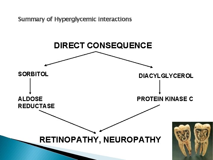 Summary of Hyperglycemic interactions DIRECT CONSEQUENCE SORBITOL DIACYLGLYCEROL ALDOSE REDUCTASE PROTEIN KINASE C RETINOPATHY,