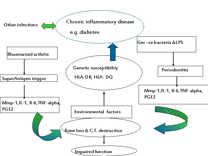 Other infections Chronic inflammatory disease e. g. diabetes Gm –ve bacteria &LPS Rhuematoid arthrits