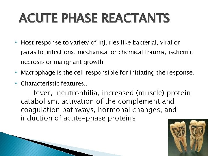 ACUTE PHASE REACTANTS Host response to variety of injuries like bacterial, viral or parasitic