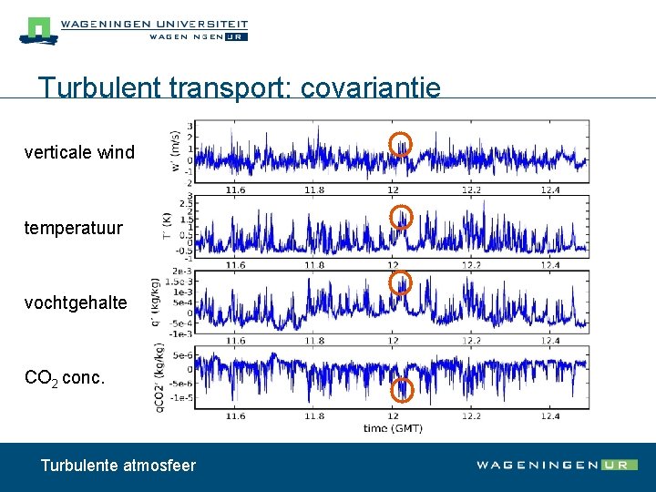 Turbulent transport: covariantie verticale wind temperatuur vochtgehalte CO 2 conc. Turbulente atmosfeer 