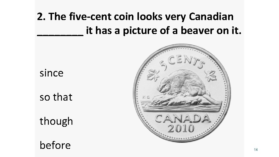 2. The five-cent coin looks very Canadian ____ it has a picture of a