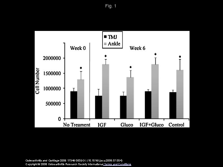 Fig. 1 Osteoarthritis and Cartilage 2009 17346 -353 DOI: (10. 1016/j. joca. 2008. 07.