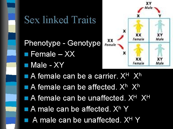 Sex linked Traits Phenotype - Genotype n Female – XX n Male - XY Sex linked Traits Phenotype - Genotype n Female – XX n Male - XY