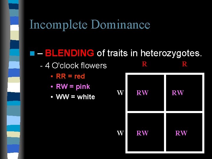 Incomplete Dominance n– BLENDING of traits in heterozygotes. R - 4 O'clock flowers • Incomplete Dominance n– BLENDING of traits in heterozygotes. R - 4 O'clock flowers •