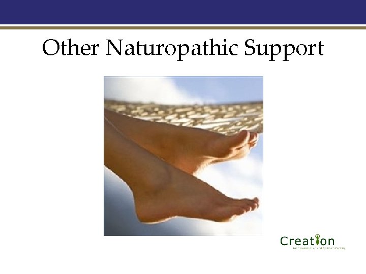 Other Naturopathic Support 