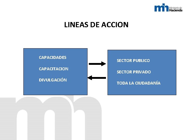 LINEAS DE ACCION CAPACIDADES CAPACITACION DIVULGACIÓN SECTOR PUBLICO SECTOR PRIVADO TODA LA CIUDADANÍA 