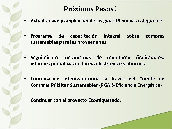 Próximos Pasos: • Actualización y ampliación de las guías (5 nuevas categorías) • Programa