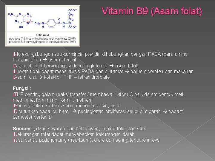 Vitamin B 9 (Asam folat) � Molekul gabungan struktur cincin pteridin dihubungkan dengan PABA
