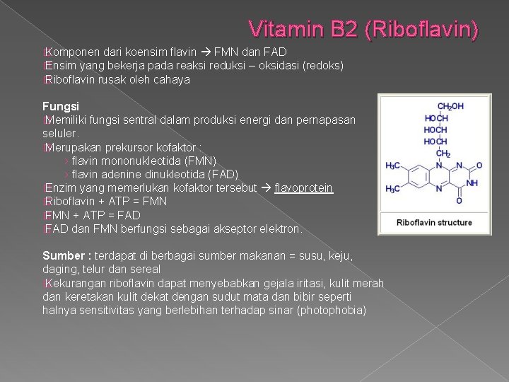 Vitamin B 2 (Riboflavin) � Komponen dari koensim flavin FMN dan FAD � Ensim